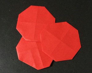 hiraginoha.origami.12
