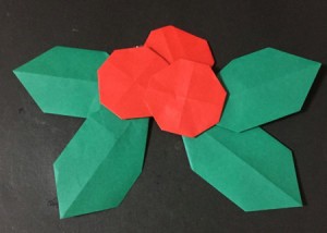 hiraginoha.origami.13