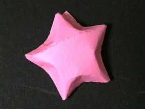hoshi.origami.8