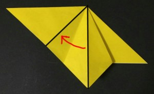 hoshi1.origami.11-1