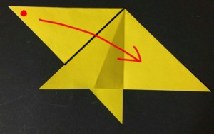 hoshi1.origami.13-1