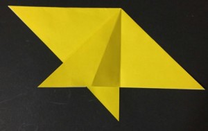 hoshi1.origami.13
