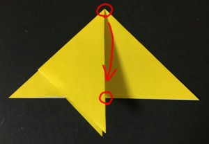 hoshi1.origami.14