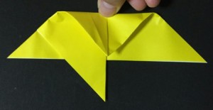 hoshi1.origami.15