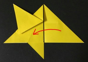 hoshi1.origami.17-1