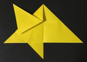 hoshi1.origami.17
