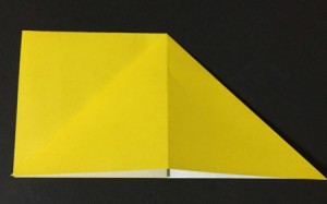 hoshi1.origami.4
