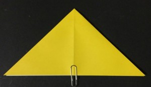 hoshi1.origami.5