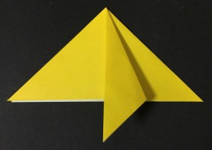 hoshi1.origami.6