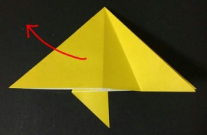 hoshi1.origami.9