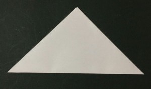 ohi1.origami.1