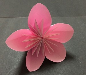 sakura.origami.16