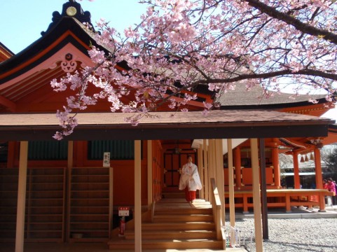 ベビーマッサージ！効果はある？ない？3年間した結果・・・