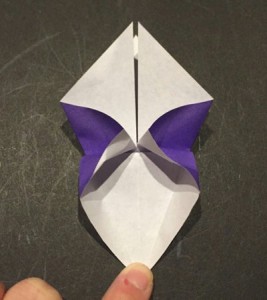 ayame.origami.13