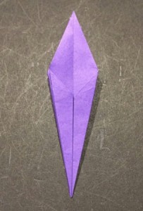 ayame.origami.19