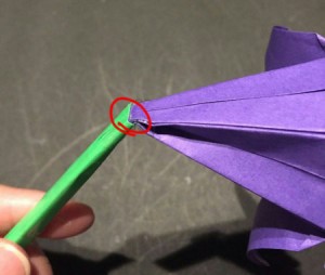 ayame.origami.31