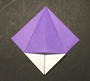 ayame.origami.7