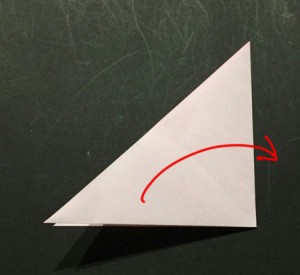 azisai.origami.riltutai.4