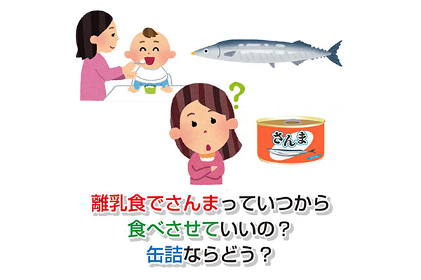 Pacific saury in baby food Eye-catching image